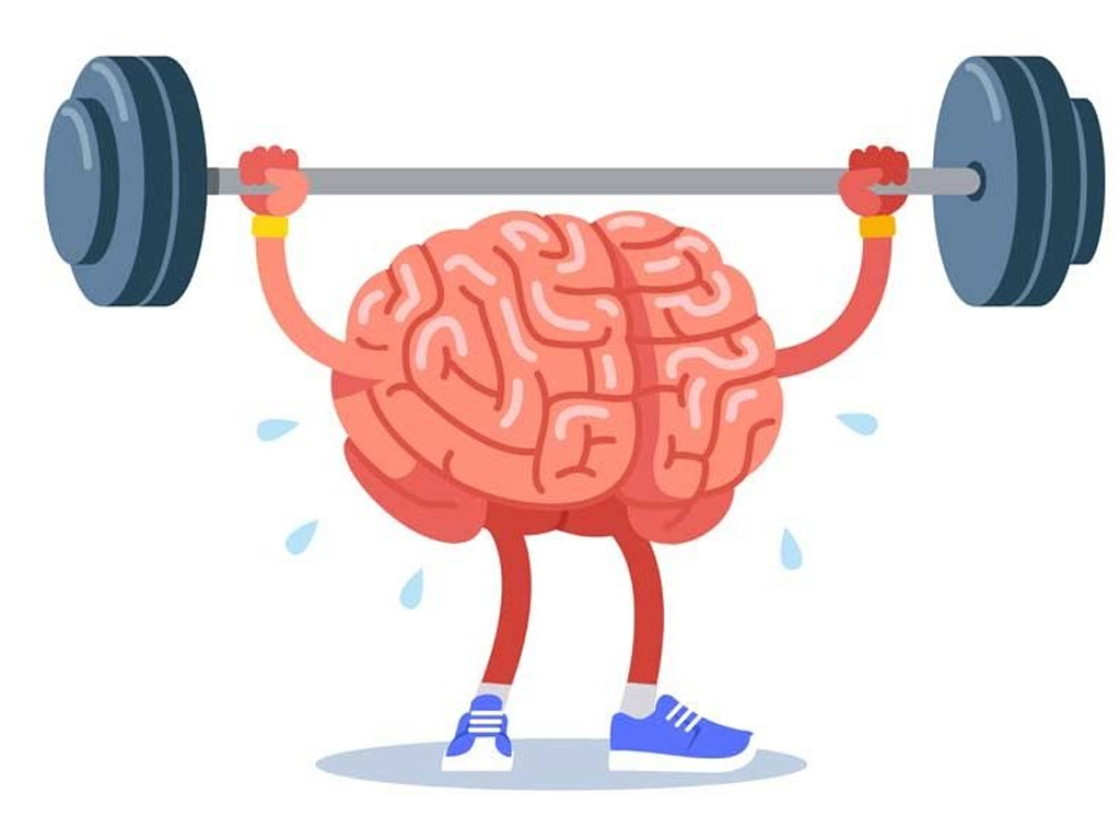 chispa mental davilua memoria 3