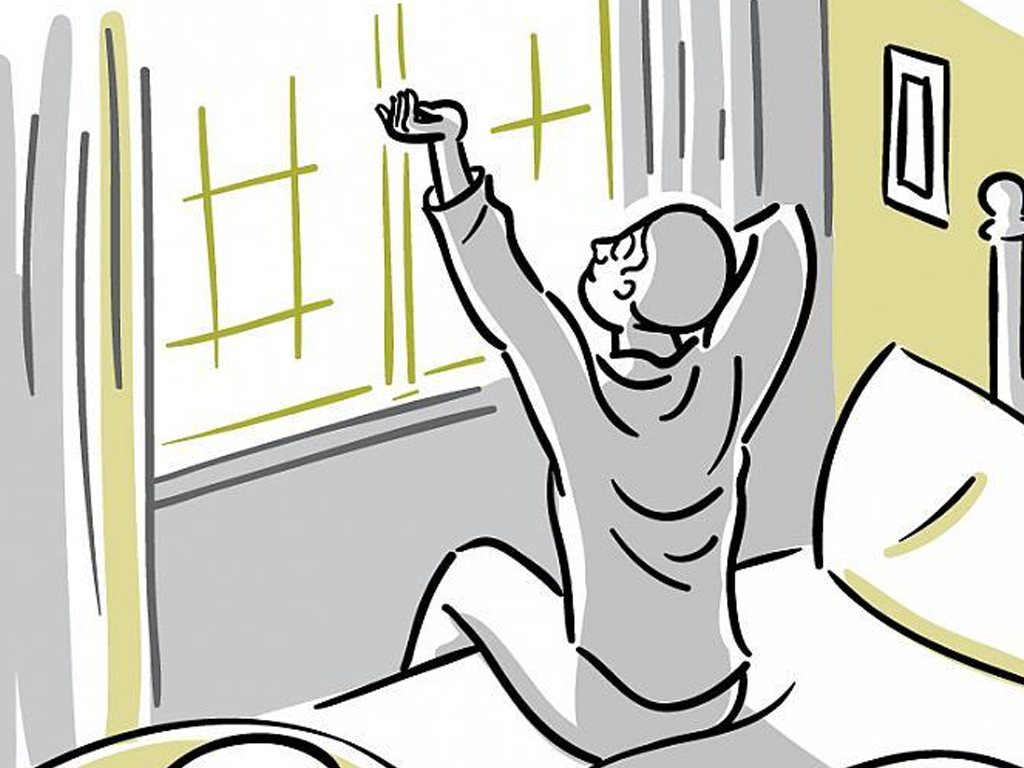 cultivar el sueño davilua 4