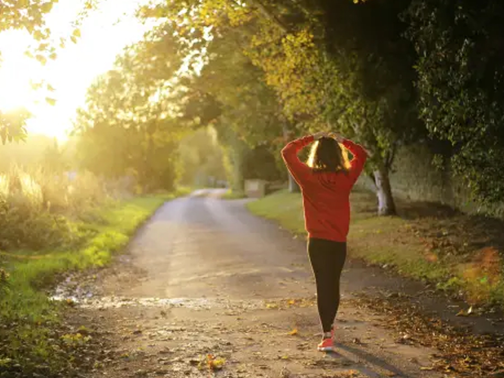 davilua ciencia y consciencia entrenamiento habitos saludables 4