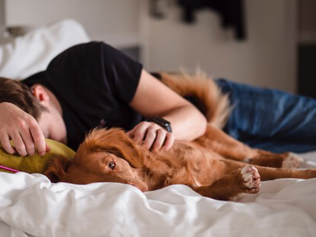 dormir mejor davilua 2