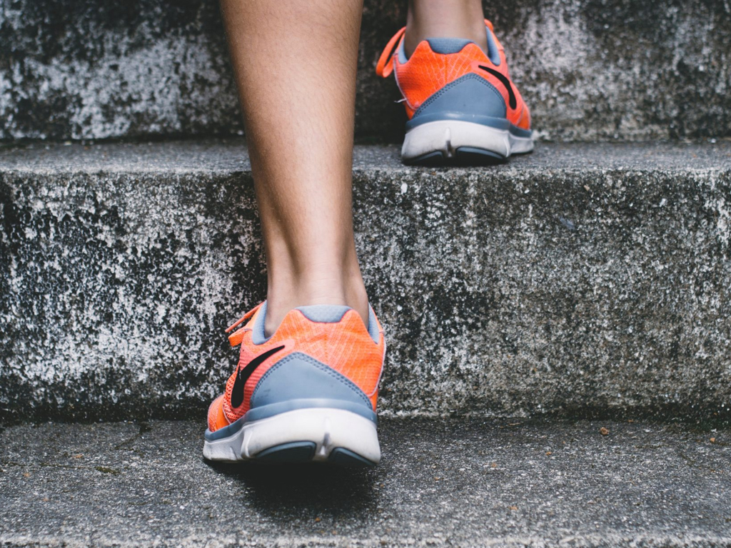 habitos sostenibles davilua 4