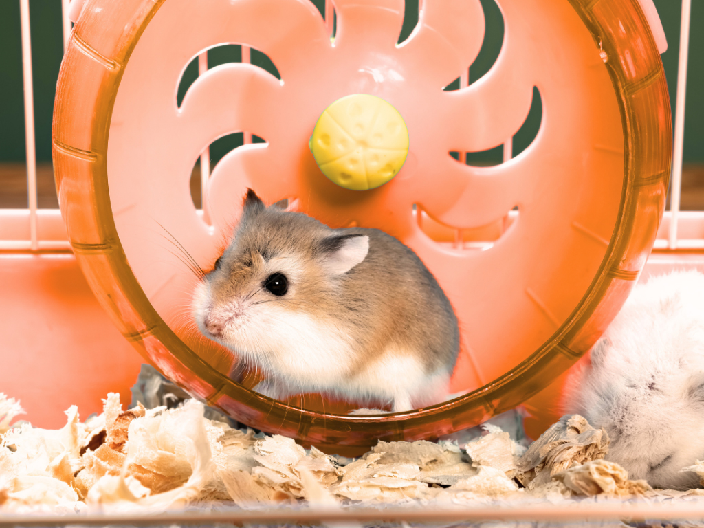 las rutinas de moda davilua 4