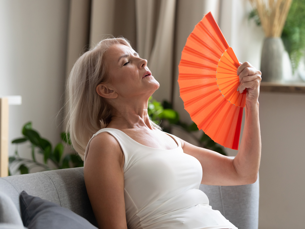 menopausia consciente 1