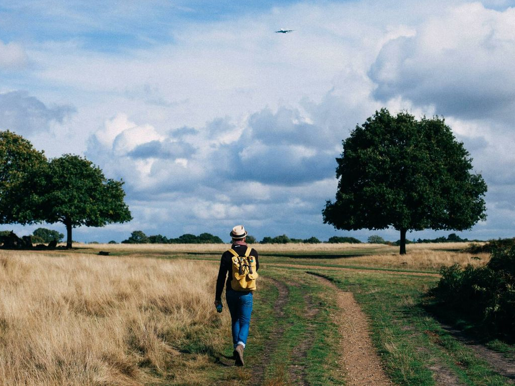 pequeñas rutinas DAVILUA b