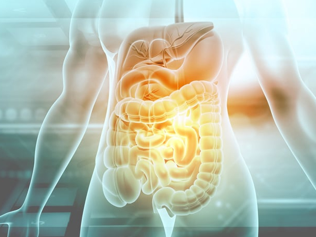 salud digestiva davilua c